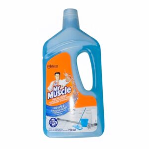 Mr Muscle - Tile Cleaner Fresh (750ML)