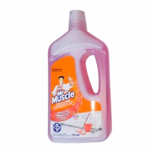 Mr Muscle - Tile Cleaner Country (750ML)